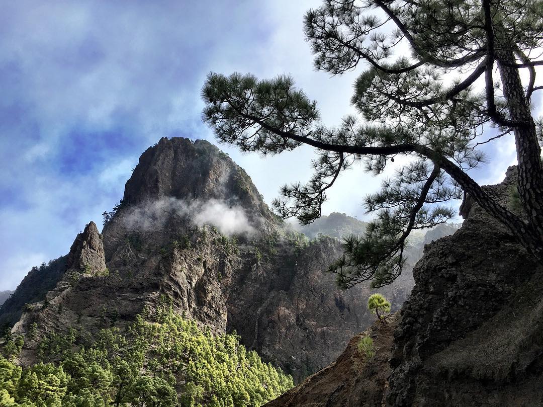 26220589_10103662131595722_5681533852747600342_o